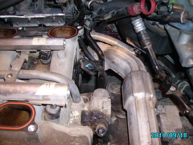 PICT0141.JPG