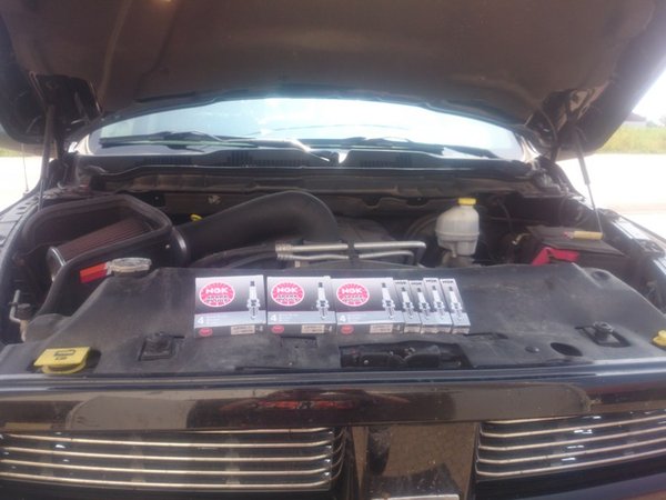 16 nya stift redo att installeras.