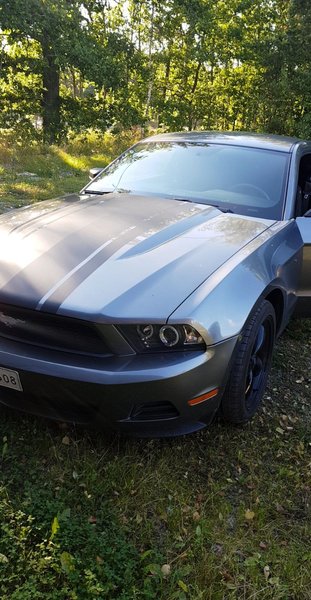 WhatsApp Image 2017-08-11 at 09.47.45.jpeg