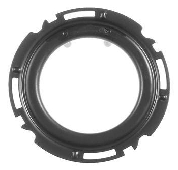 ring.jpg